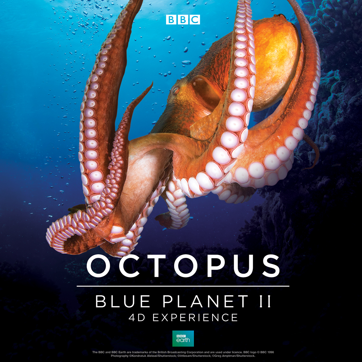 planet earth 2 octopus poster