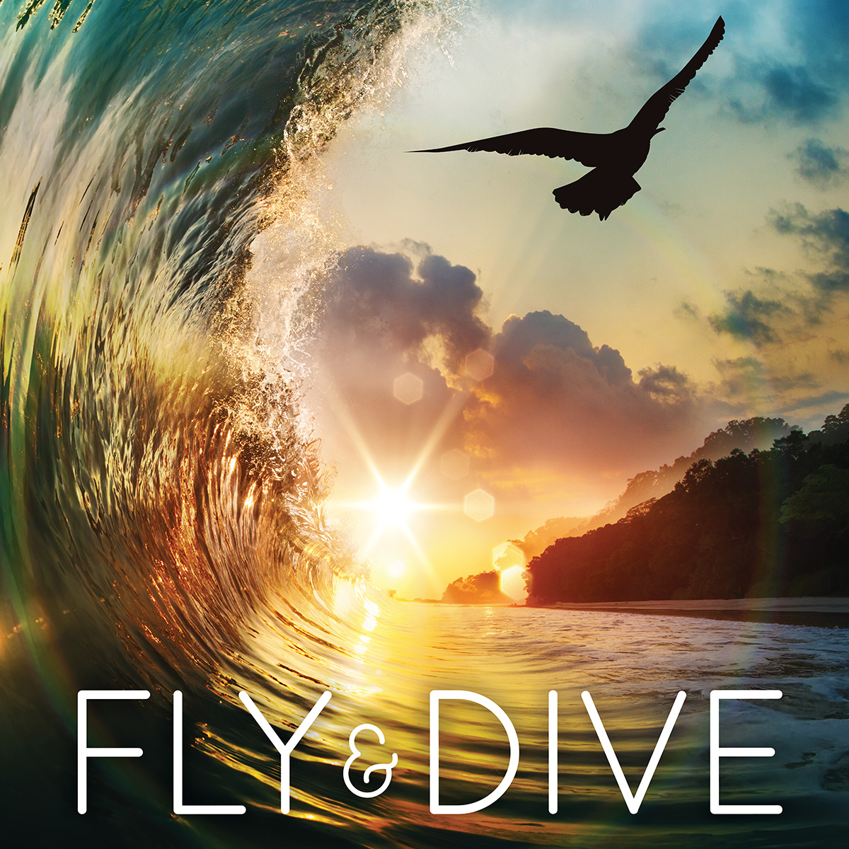 fly and dive poster section